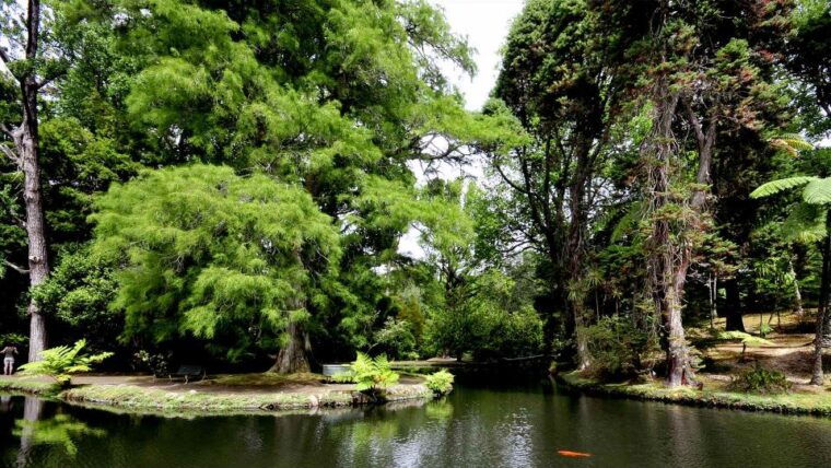furnas-terra-nostra-botanic-park-guided-tour-w-hotsprings