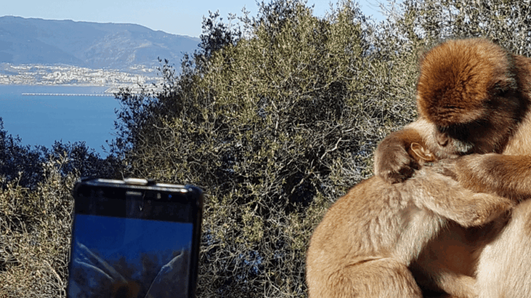 gibraltar-guided-tour-from-the-costa-del-sol