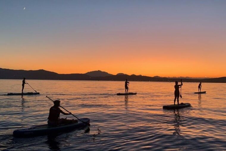 golfo-aranci-dolphin-watching-sup-paddleboard-tour