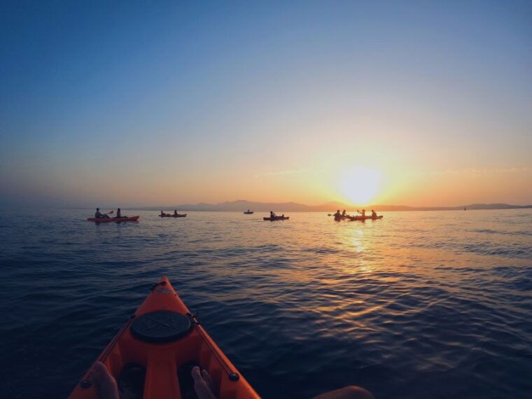 golfo-aranci-kayak-tour-with-dolphins-and-aperitif
