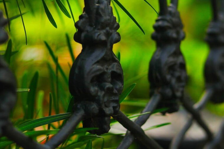 gossip-grandeur-a-stroll-through-nolas-garden-district