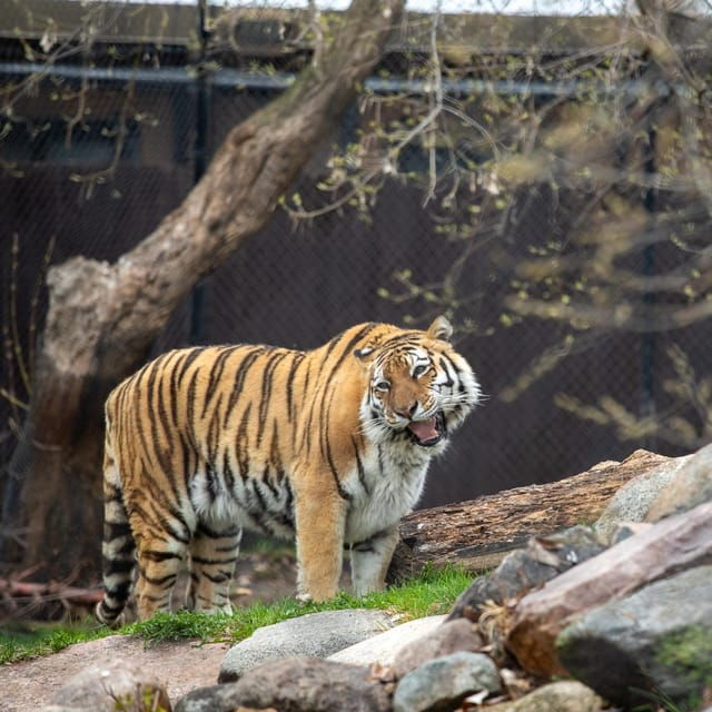 great-plains-zoo