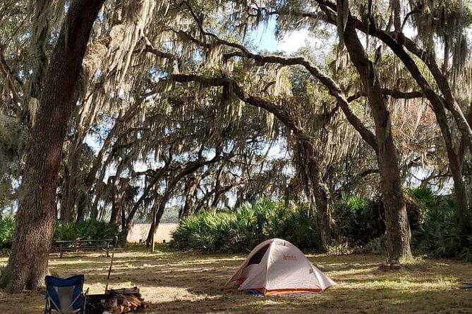 guided-day-hike-through-floridas-wild-backcountry