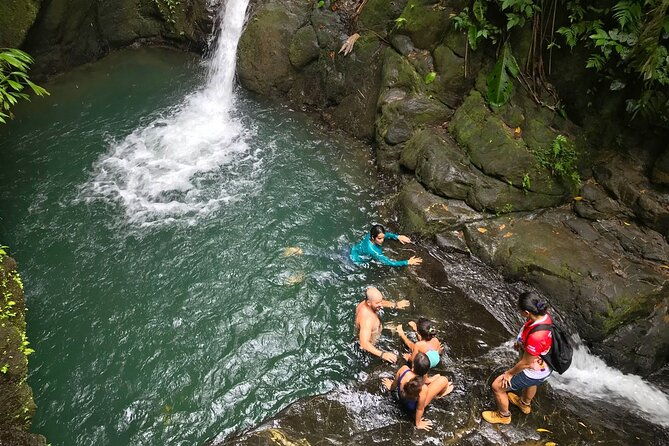 guided-hiking-tour-by-the-mystic-ebano-rainforest-in-costa-rica