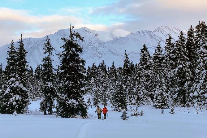 guided-snowshoeing-adventure-in-seward-alaska