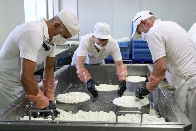 guided-tour-of-montesdeoca-cheese-factory-with-cheese-tasting