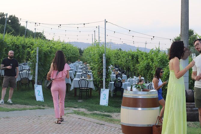 guided-walk-and-lunch-in-the-vineyard-in-alba