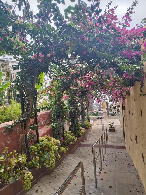 guided-walking-tour-in-la-orotavatenerife