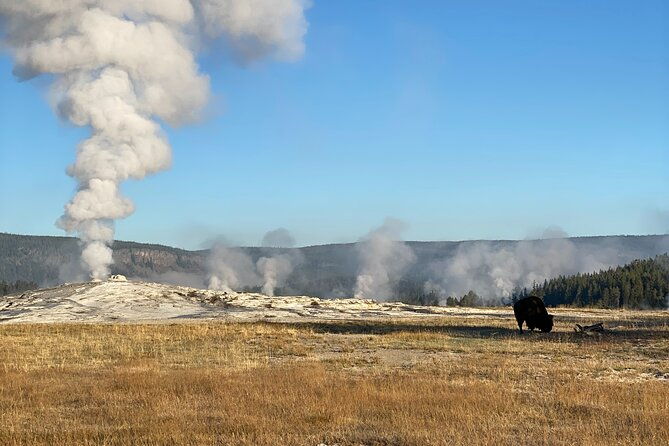 guided-yellowstone-national-park-trip