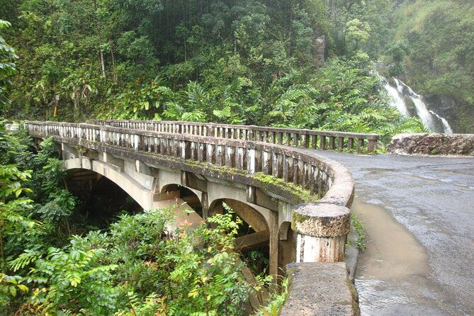 hana-private-road-tour-up-to13-passengers