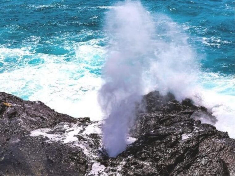 hawaii-oahu-island-sightseeing-and-food-combo-tour