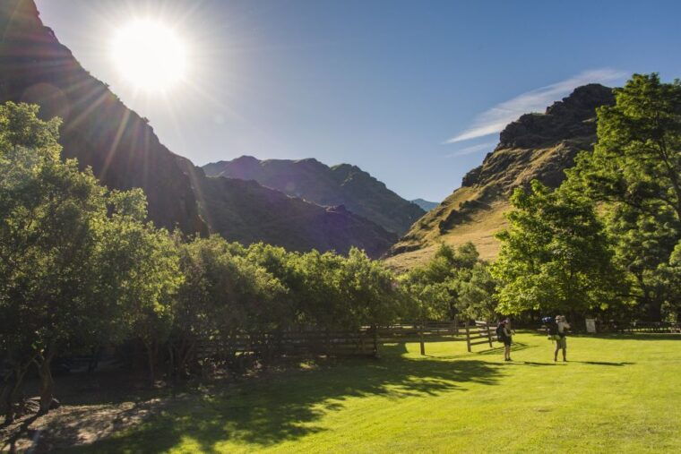 hells-canyon-yellow-jet-boat-tour-to-kirkwood-snake-river