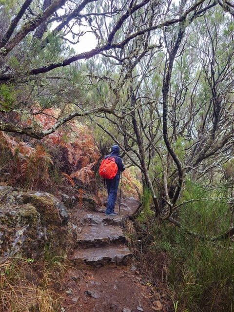 hike-in-rabacal-in-a-different-way