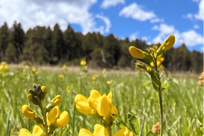 hike-paint-adventure-in-colorado-rockies