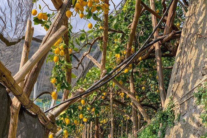 hiking-experience-ravello-path-of-the-lemons