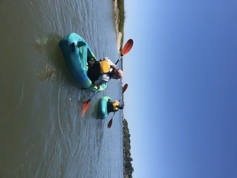 hilton-head-island-1-5-hour-guided-small-group-kayak-tour