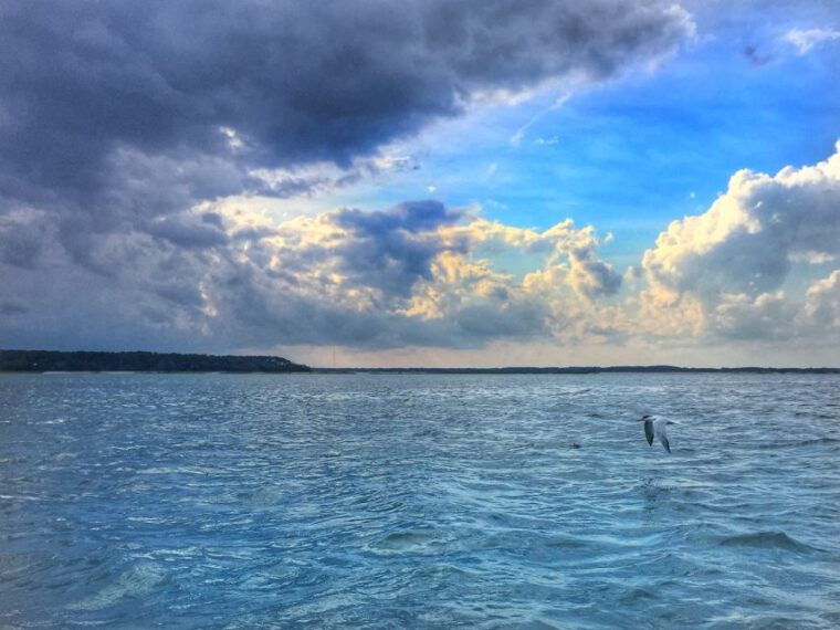 hilton-head-island-pontoon-boat-rental