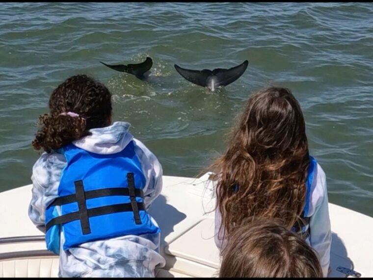 hilton-head-island-private-dolphin-and-nature-tour