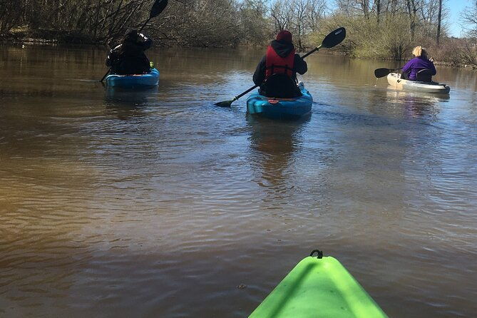historical-scenic-bayou-swamp-water-trail-kayak-tour
