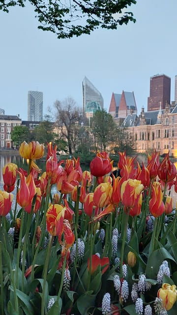 historical-tour-of-the-hague