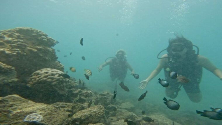 honolulu-beginner-scuba-diving-tour-with-free-videos