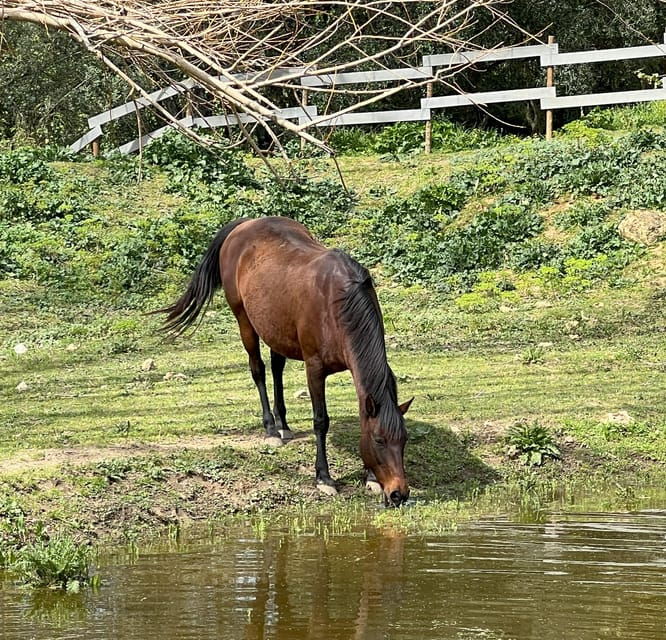 horse-riding-lesson-lunch-regional-wine-tasting