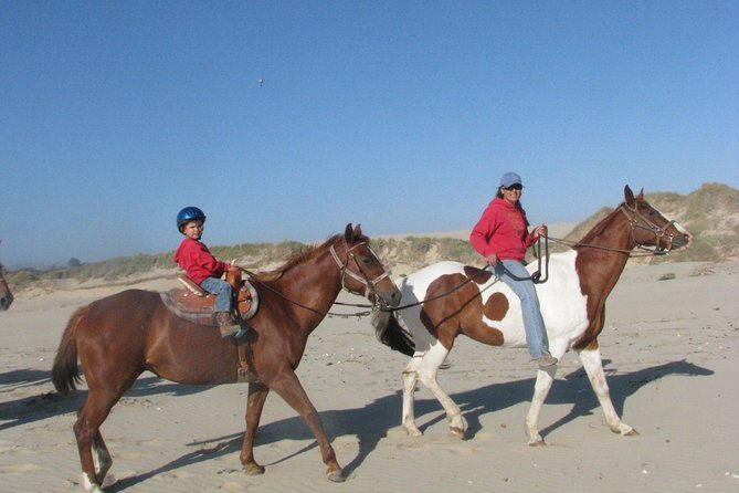 horseback-ride-on-the-beach-alcatraz-tour-in-san-francisco