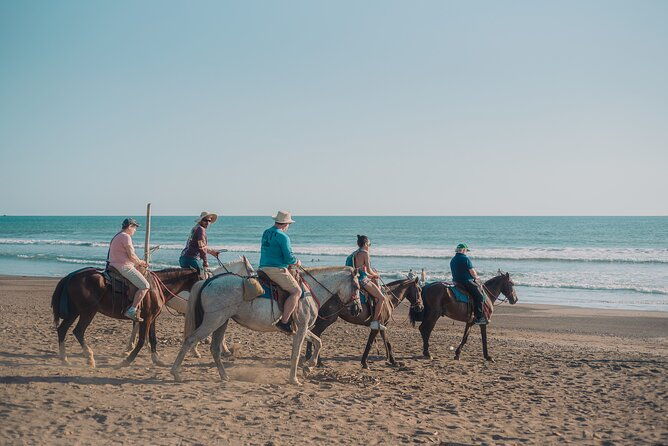 horseback-riding-tour-beach-and-ocean-view