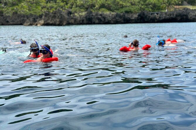 horseback-riding-zipline-and-animal-sanctuary-in-bay-islands