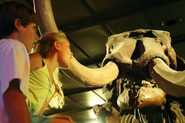 houston-museum-of-natural-science-general-admission-ticket