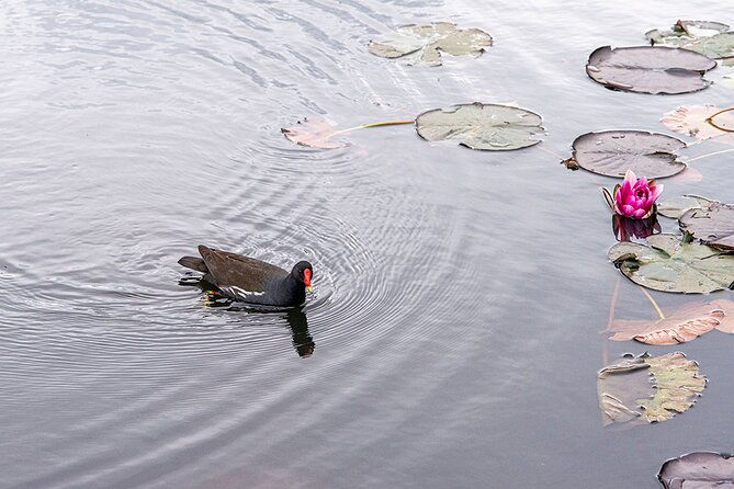 i-lov-it-tivoli-park-tour
