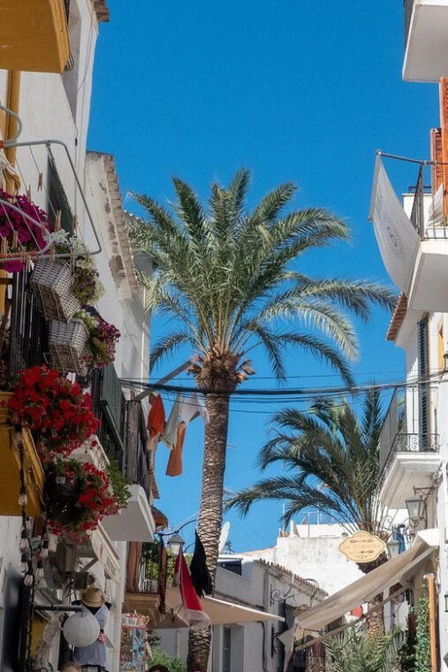 ibiza-old-town-private-guided-walking-tour