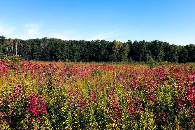 indiana-dunes-national-park-with-audio-tour-guide