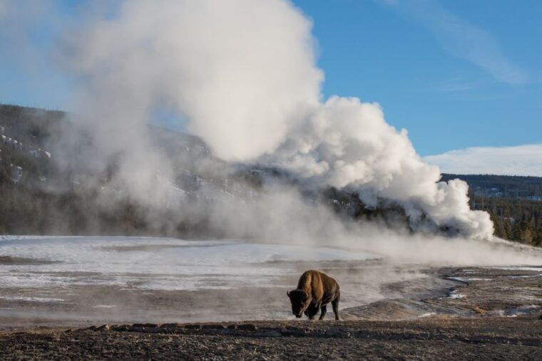 jackson-4-day-grand-teton-yellowstone-winter-tour
