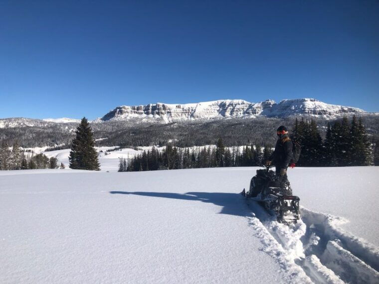 jackson-hole-turpin-meadow-snowmobile-tour