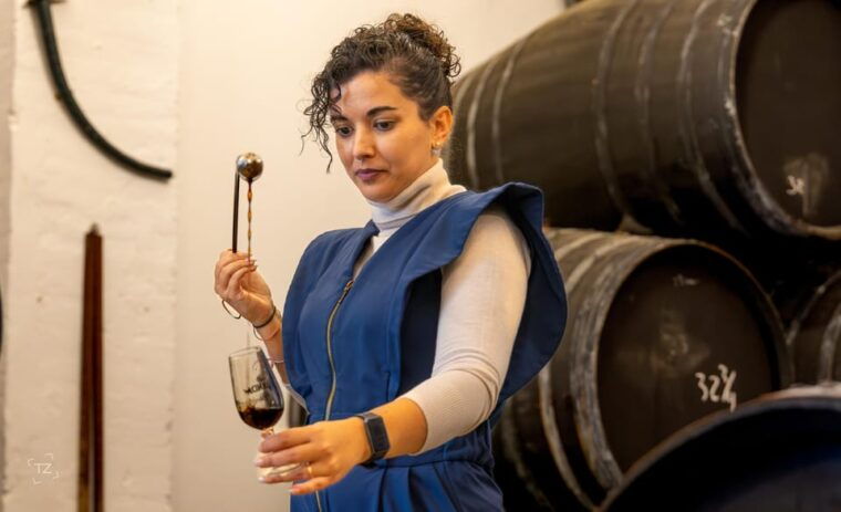 jerez-bodegas-alvaro-domecq-guided-tour-with-wine-tasting