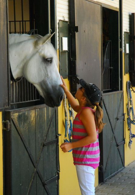jerez-carthusian-horses-tour-at-the-yeguada-de-la-cartuja