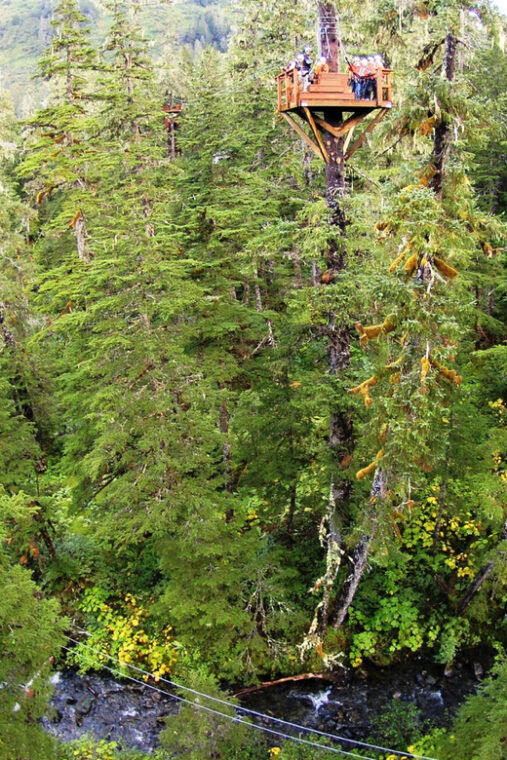juneau-alpine-zipline-adventure