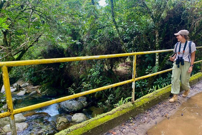 jungle-tour-bird-watching-and-local-fauna-from-guatape