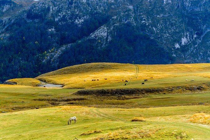 kapetanovo-lake-hiking