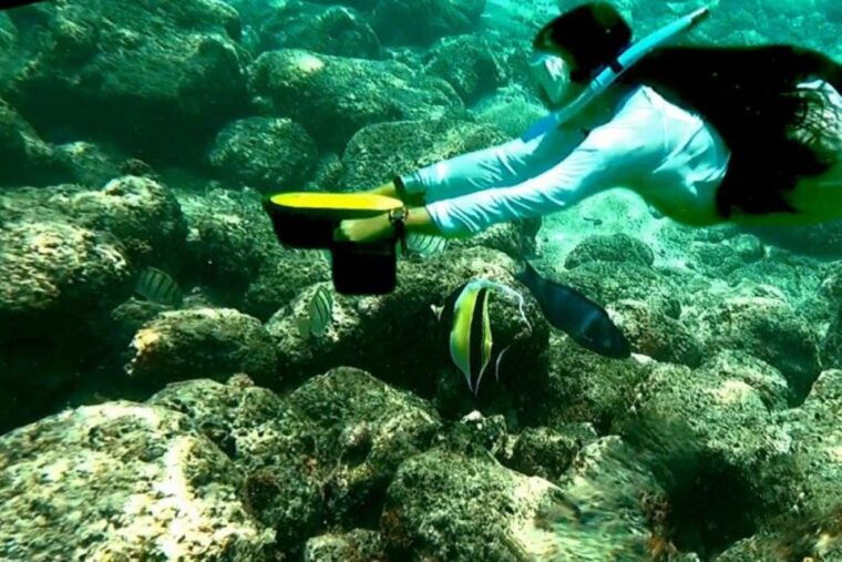 kauai-snorkeling-adventure-with-sea-scooter