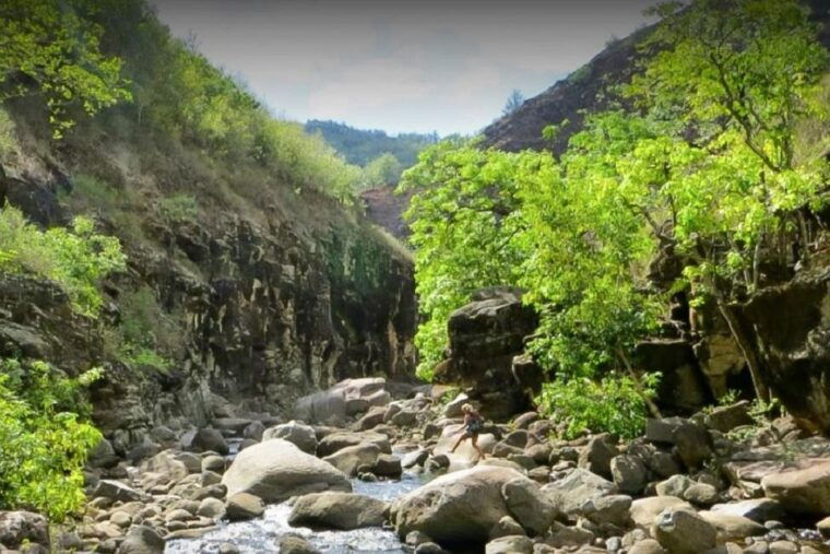 kauai-waimea-canyon-koke%ca%bbe-state-park-private-tour