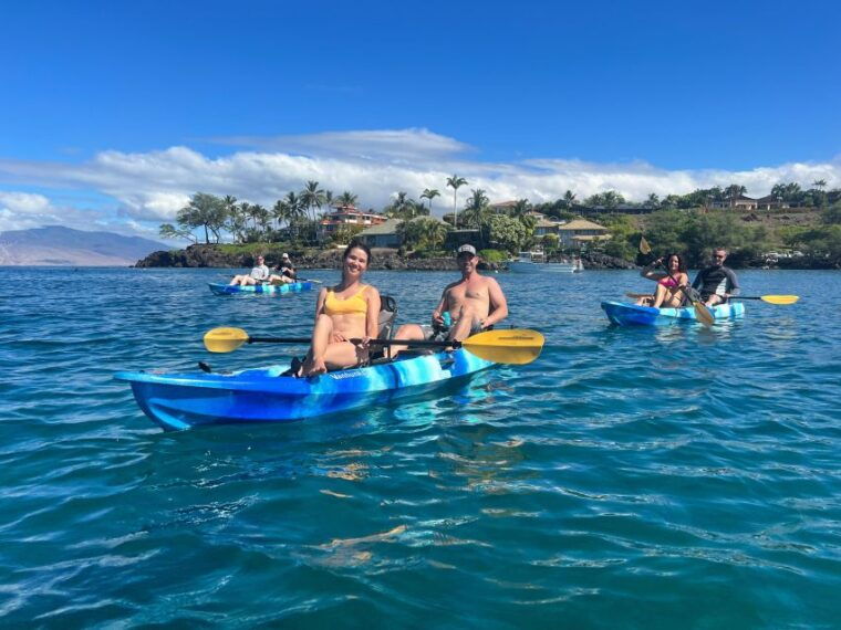 kayak-whale-watch-and-snorkel-at-turtle-town