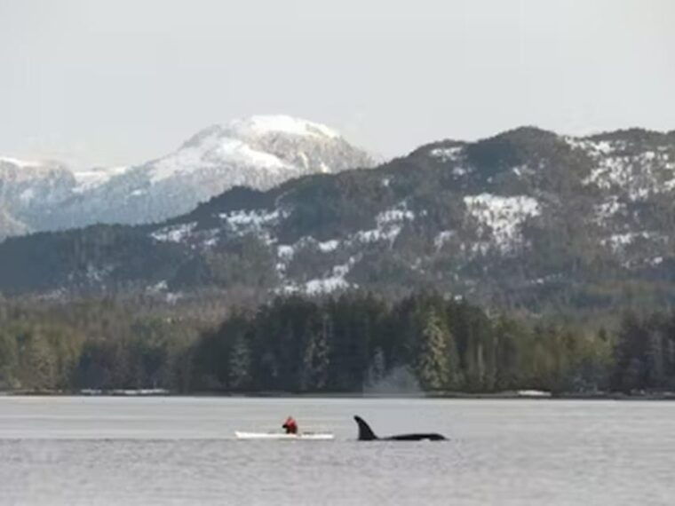 ketchikan-kayak-eco-tour-2