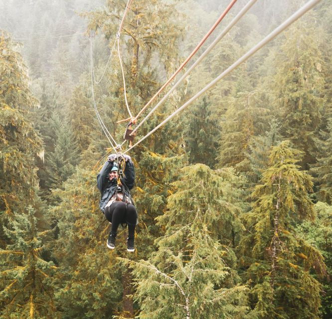 ketchikan-rainforest-canopy-zipline-adventure