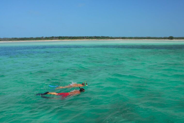 key-west-dolphin-watching-and-snorkeling-eco-cruise-tour