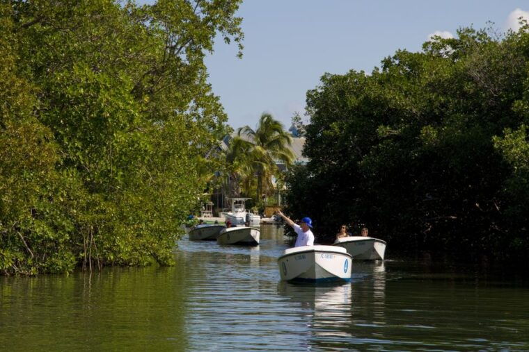 key-west-eco-safari-sandbar-tour-with-snorkeling