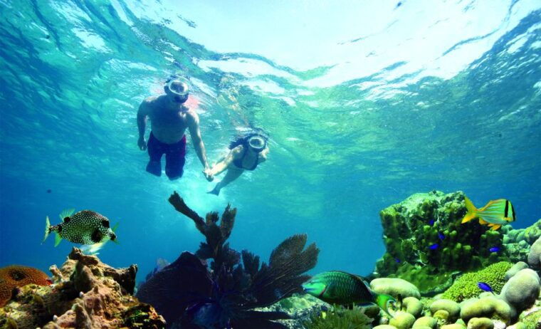 key-west-reef-snorkeling-with-drinks-and-sunset-option