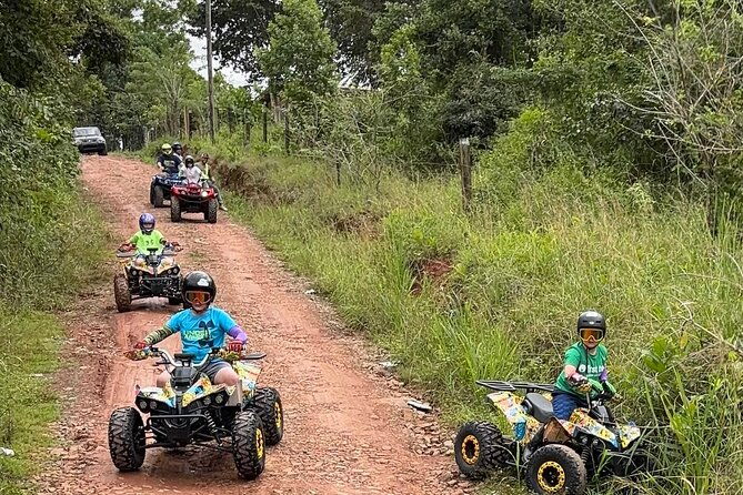 kids-4-wheels-pineapple-farm-espectacular