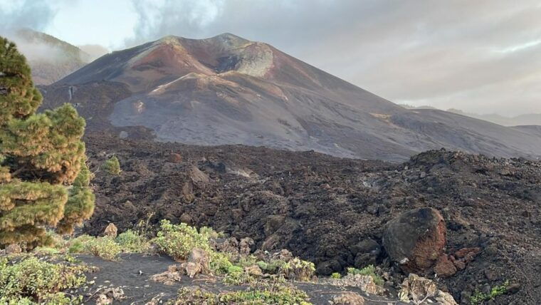 la-palma-guided-tour-to-tajogaite-volcano-with-transfer